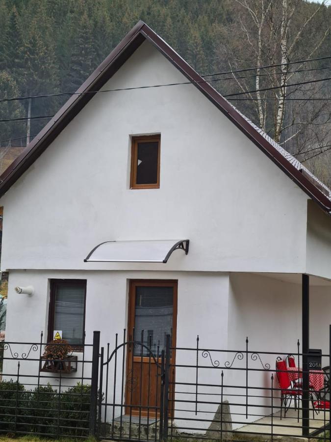 Villa Tiny House Floare De Colt à Moeciu De Sus Extérieur photo